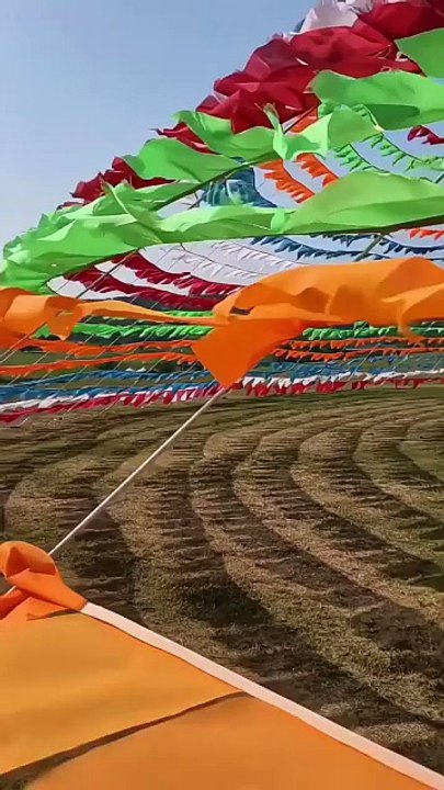 Upcoming Phone Photography Test Camera testing The Best Phone for Photography Review