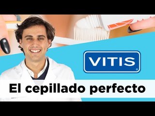 Consigue una higiene bucal sana con VITIS 🦷 | Farmaciasdirect