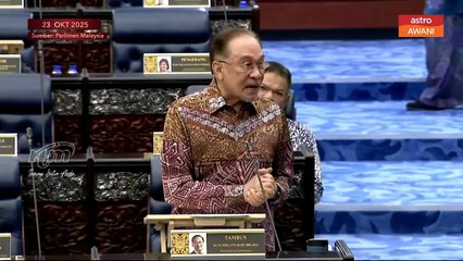 “Rotan harus dikembalikan dengan syarat ketat” - PM Anwar