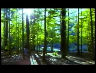 The Ten Plagues of Egypt