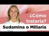¿Cómo tratar la Sudamina o Miliaria en bebés? 🤷🏼 | Farmaciasdirect
