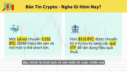 Bản Tin Thị Trường Crypto Ngày 23/10/2025: Bất Ổn Vĩ Mô & Khả Năng Bitcoin Đạt $200K Dù Áp Lực Thanh Lý Whale Tăng Cao