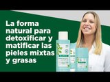 Rutina para piel mixta y grasa con Klorane a la Menta Acuática 🍃 | Farmaciasdirect