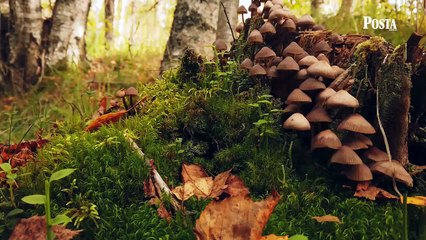 Uzmanlar uyarıyor: Dış görünüşe aldanmayın! Vakaları 4 bine dayandı