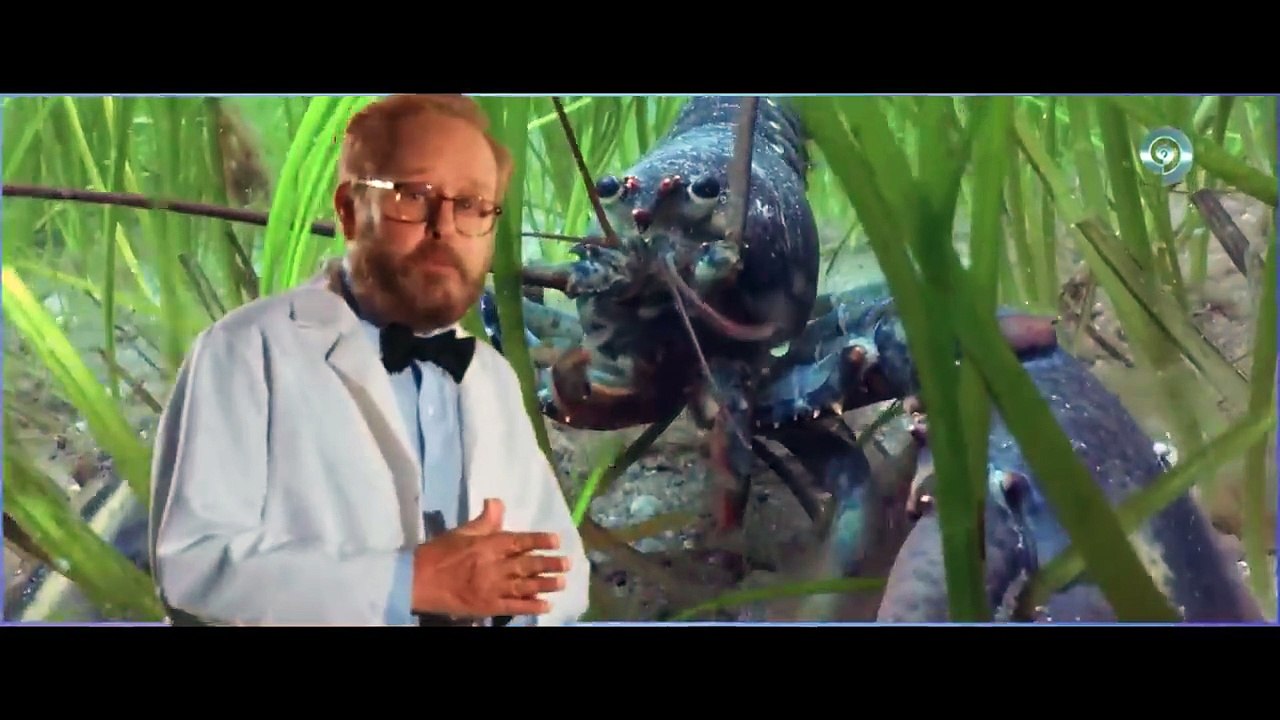 Women Inject Themselves With Lobster Enzymes to Stop Aging — Unaware of the Side Effects