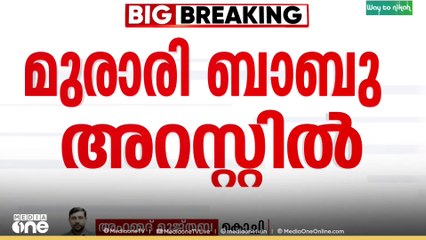 ശബരിമല സ്വർണക്കൊള്ള: ദ്വാരപാലക ശിൽപ്പം ചെമ്പെന്ന് എഴുതിയത് മുരാരി ബാബു