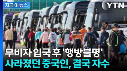 경복궁 관광 중 '무단이탈'...경주에서 자수한 중국인 관광객 [지금이뉴스] / YTN