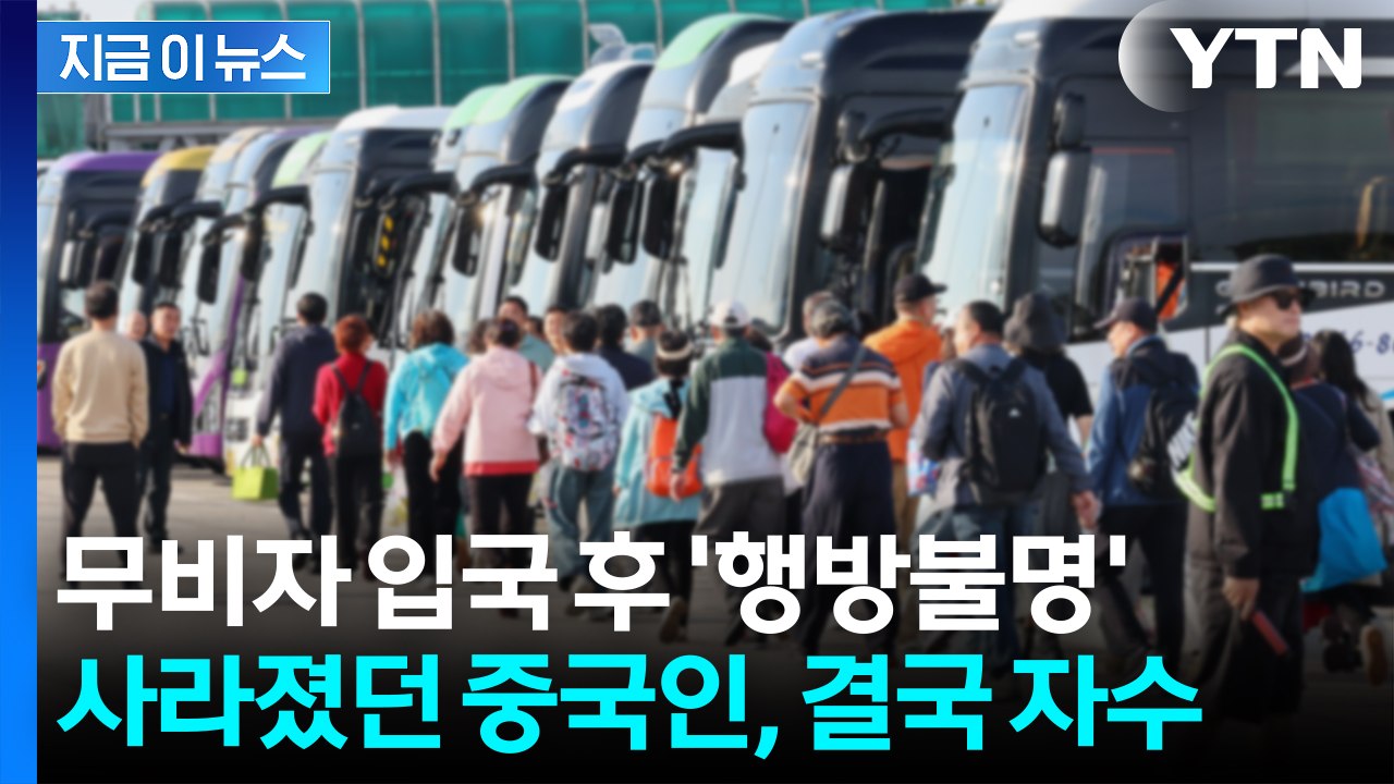 경복궁 관광 중 '무단이탈'...경주에서 자수한 중국인 관광객 [지금이뉴스] / YTN