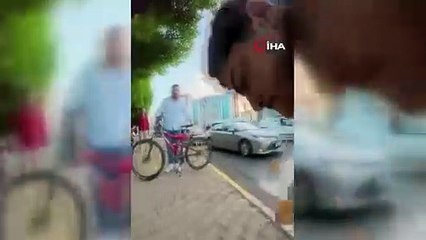 Sokakta ağızlıksız gezdirilen ’Rottweiler’ cinsi köpek dehşet saçtı... O anlar kamerada