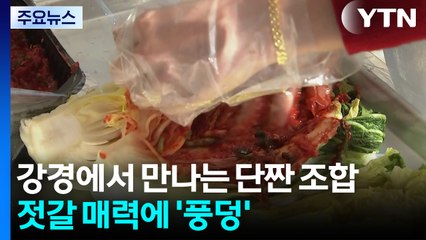 강경에서 만나는 단짠 조합...젓갈 매력에 '풍덩' / YTN