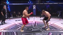 MMA Knockouts Part 48  Brutal Power & Precision Finishes 2025