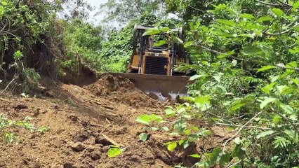 Overcoming Potholes with a D6R XL Bulldozer in a Mountain Plantation