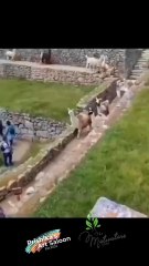 Think Beyond problems.... Attitude matters to achieve success in life ..