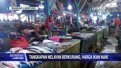 Tangkapan Nelayan Berkurang, Harga Ikan Naik