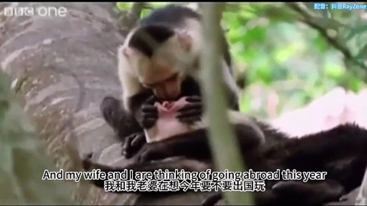 Animals that are learning to speak are really funny