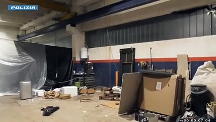 Scoperta la piantagione di marijuana: il video