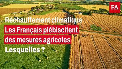 Huit Français sur dix veulent limiter l’usage des phytos