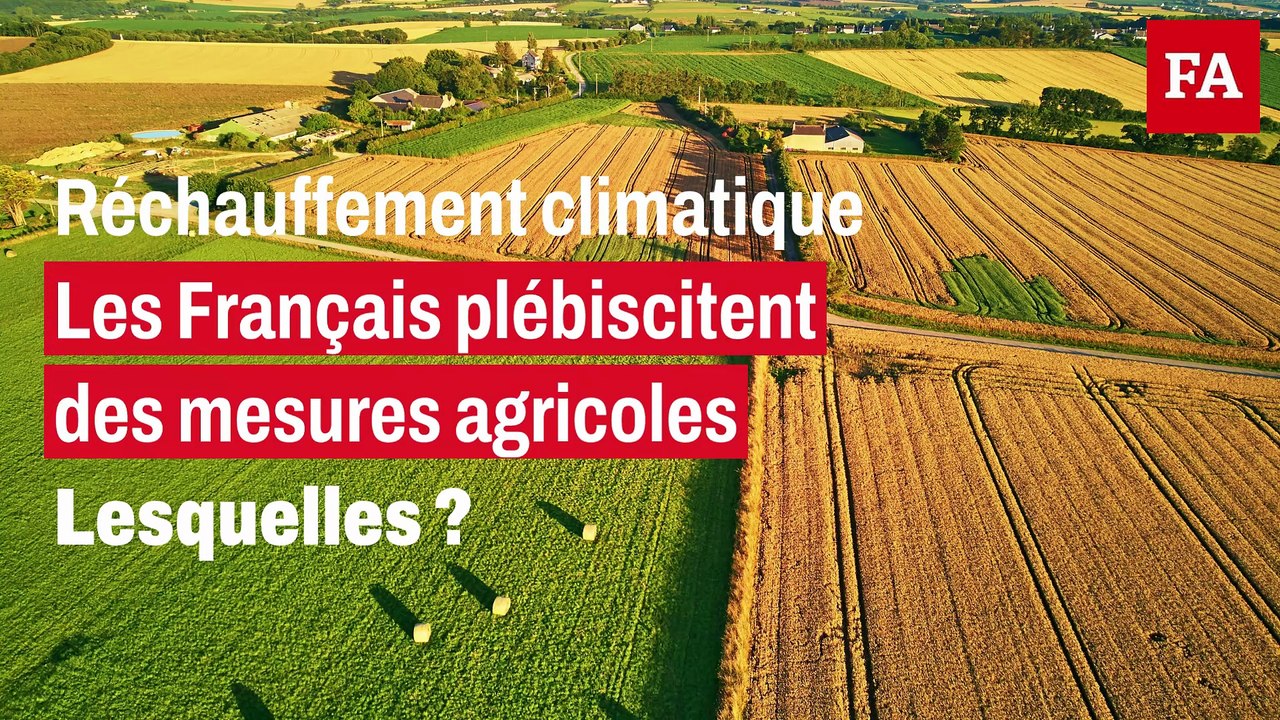 Huit Français sur dix veulent limiter l’usage des phytos