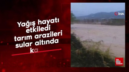 Çanakkale'de yağış hayatı etkilide: Tarım arazisi sular altında kaldı