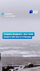 La tempête Benjamin en Seine-Maritime et dans l'Eure ce jeudi