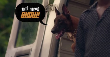 The Pet Detective - Trailer (OV) HD