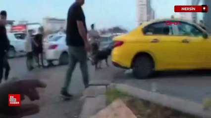 Mersin’de ağızlıksız gezdirilen köpek 2 kişiyi yaraladı