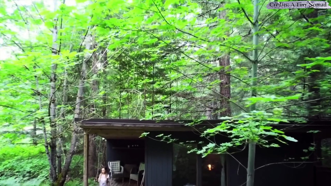 6 Chilling Camping Moments Caught on Camera You’ll Never Forget1