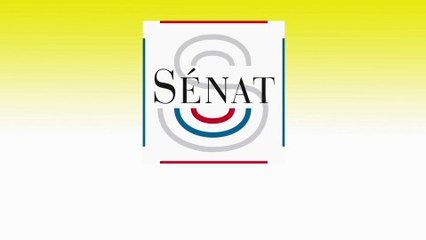 Budget de la sécurité sociale : audition d’Amélie de Montchalin, ministre des Comptes publics