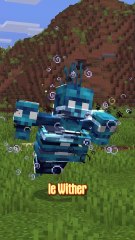 Nouvelle façon de TUER un WITHER 😱