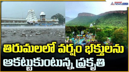 Rain at Tirumala: తిరుమల లో వర్షం భక్తులను ఆకట్టుకుంటున్న ప్రకృతి | Asianet News Telugu