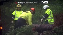 Severe winds batter New Zealand for second time in a week