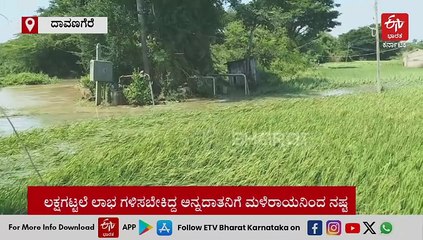 ಒಂದು ತಿಂಗಳು ಕಳೆದಿದ್ದರೆ ರೈತರ ಕೈ ಸೇರುತ್ತಿತ್ತು ಭತ್ತದ ಬೆಳೆ: ಮಳೆ ಹೊಡೆತಕ್ಕೆ ನೀರುಪಾಲು!