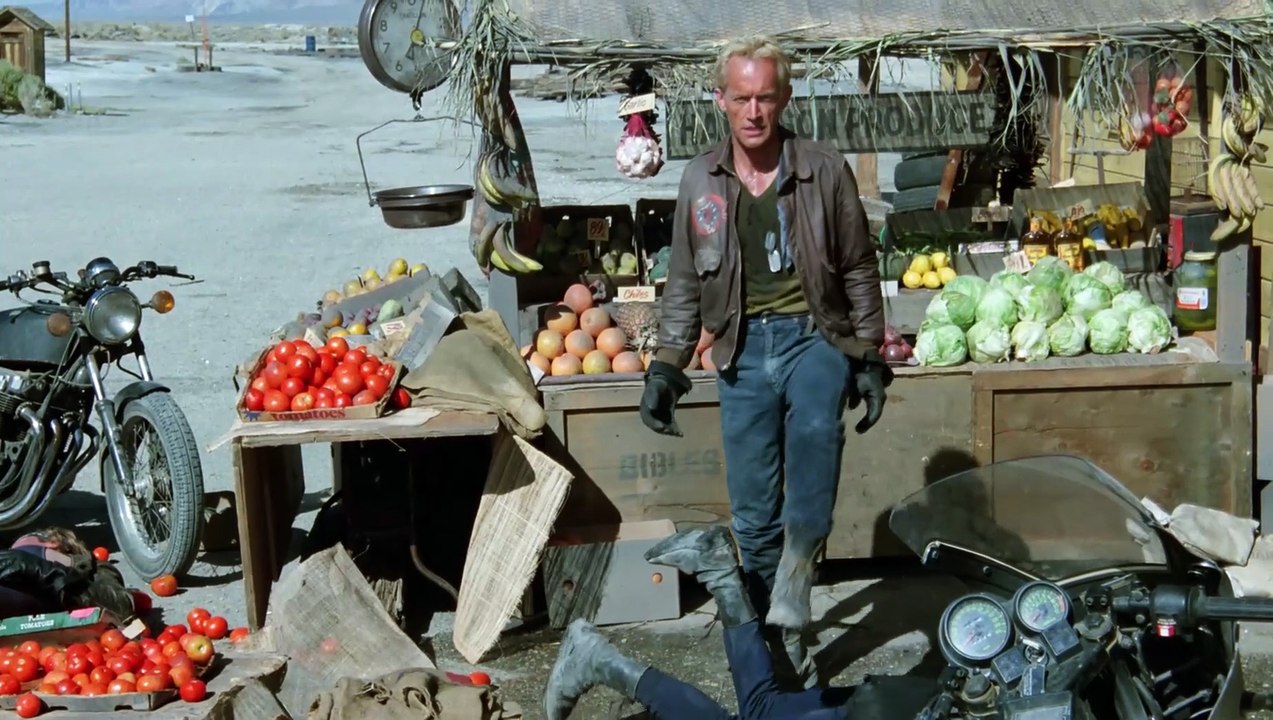 Die Hyänen - Einer muß sie jagen