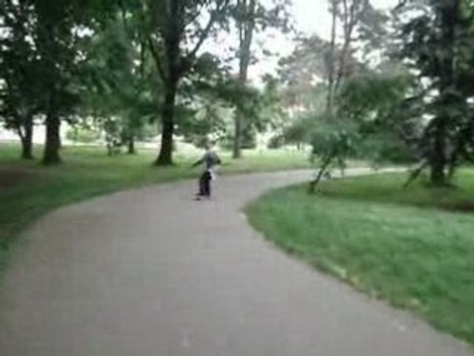 Sortie de route....sans bobos