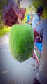 Simple Papaya Cutting Style — Fruit Cutting Skills