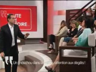 Un chouchou dans la famille, attention aux dégâts ! (3-3)