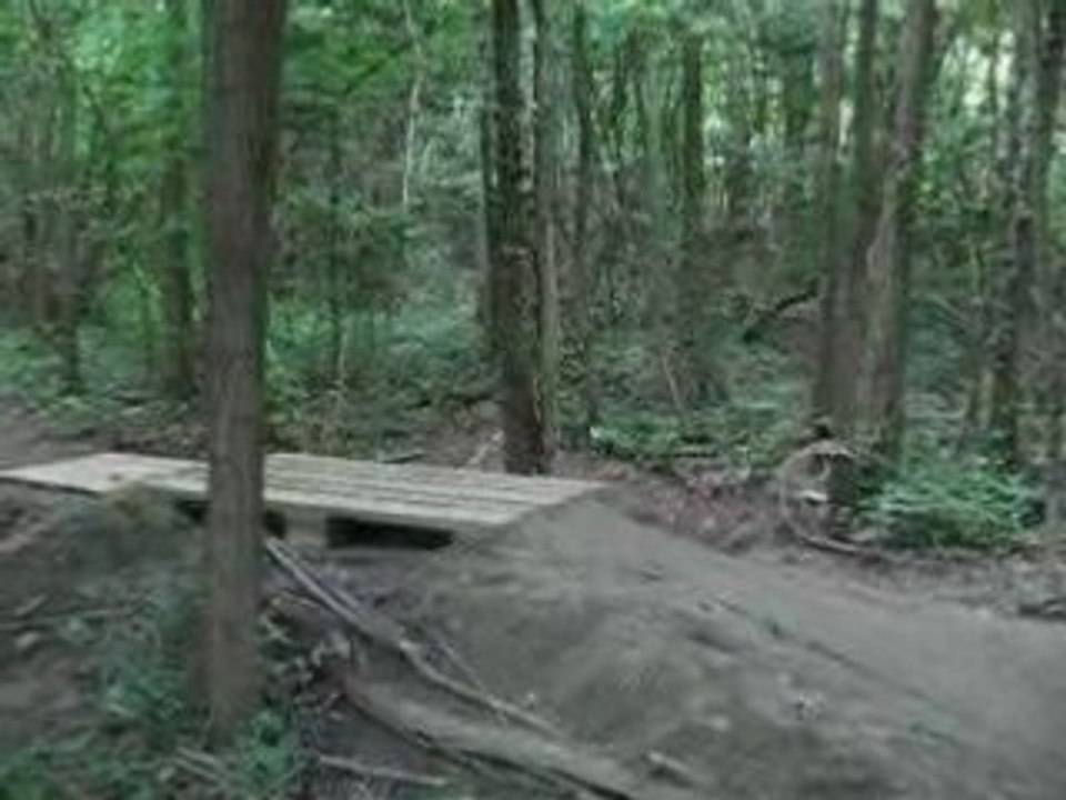 Dirte crazy biker 2