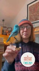 Incredible Makers Market Kettering