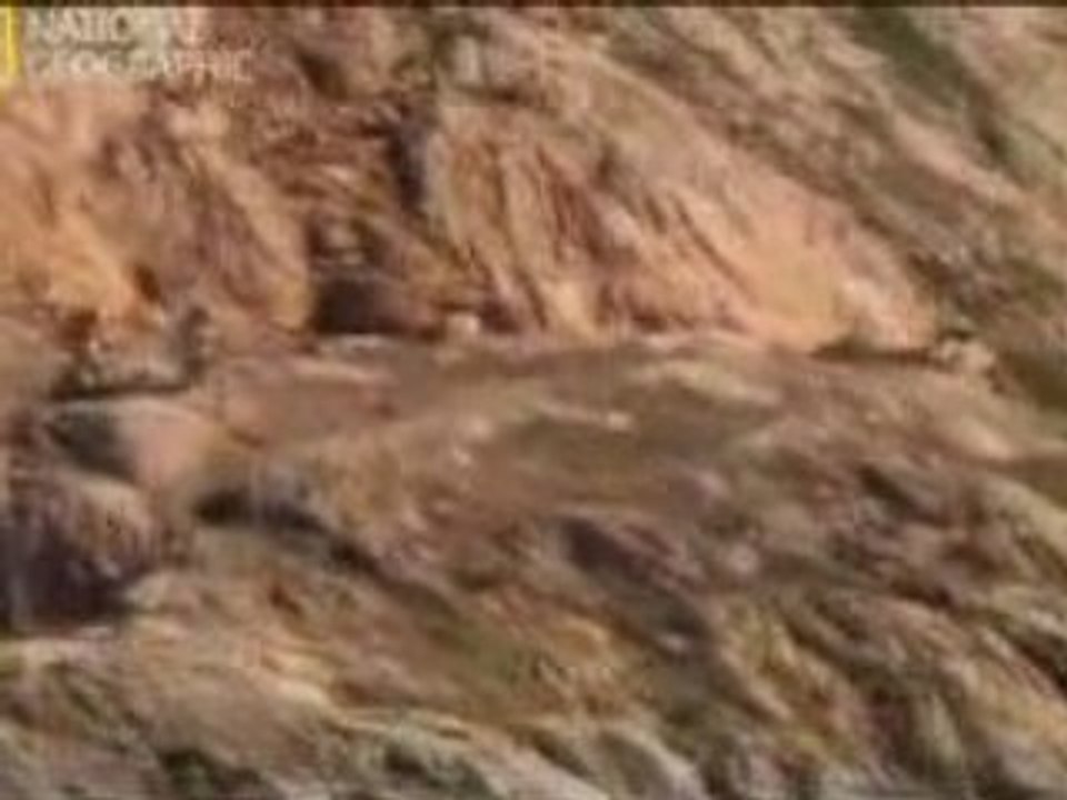 (PARTE 3) Reportaje de descenso "Cannondale The Cut"