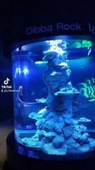 beautiful view of sharjah aquarium and museum 🎨🖼️🎨