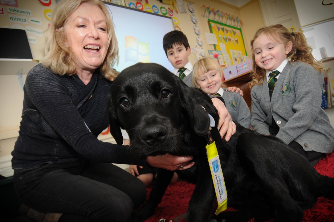Raising a toast to Argyle House School in Sunderland