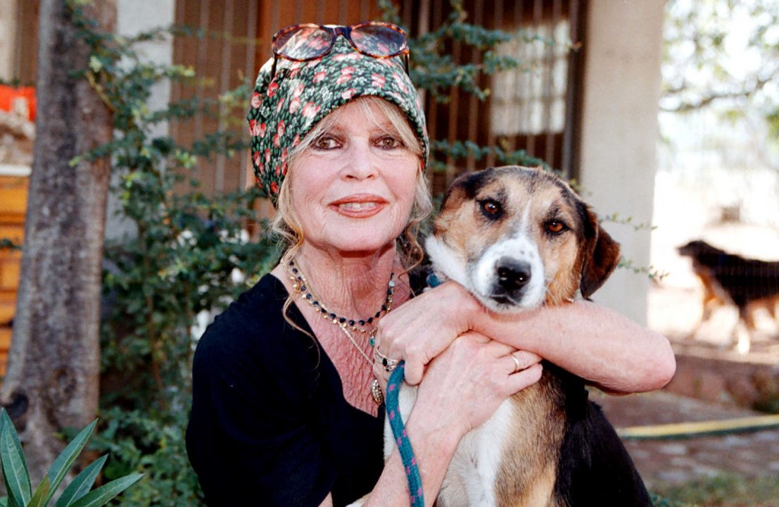 Brigitte Bardot: Sie weist 'Fake News' über angeblichen Tod zurück