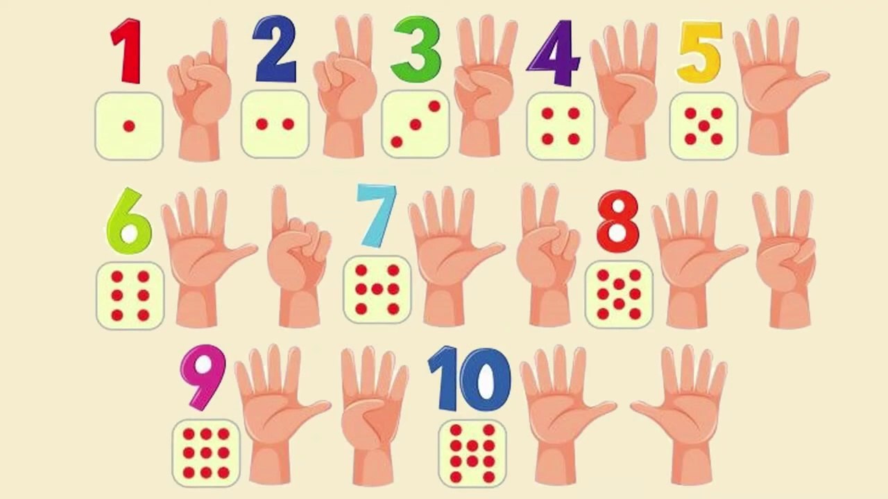 LEARNING THE ABACUS | Grade 6 Math - Lesson 04 / APRENDENDO O ÁBACO - NÚMEROS 6°ANO - AULA 04