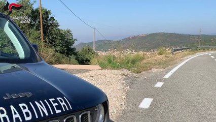 Orani, corsa a cavallo non autorizzata tra le vie del paese: denunciati otto giovani