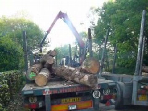 Chargement bois;vie d'une scierie part 1 !