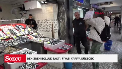 Denizden bolluk taştı, fiyatı yarıya düşecek