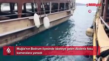 İskelede gören şaşkına döndü