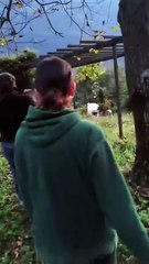 La polizia provinciale salva un capriolo a Grandola e un barbagianni a Mariano