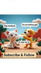 cat was ugly #cat #catvideos #funny