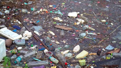 Bureau Veritas - VIDEO 04_Water and Marine Resources ES